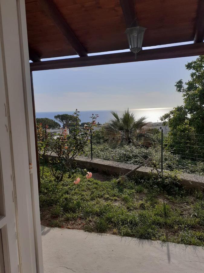 La Terrazzina Sul Tramonto Bed & Breakfast Forio di Ischia Dış mekan fotoğraf