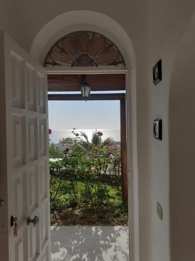 La Terrazzina Sul Tramonto Bed & Breakfast Forio di Ischia Dış mekan fotoğraf