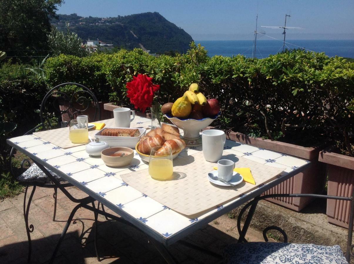 La Terrazzina Sul Tramonto Bed & Breakfast Forio di Ischia Dış mekan fotoğraf