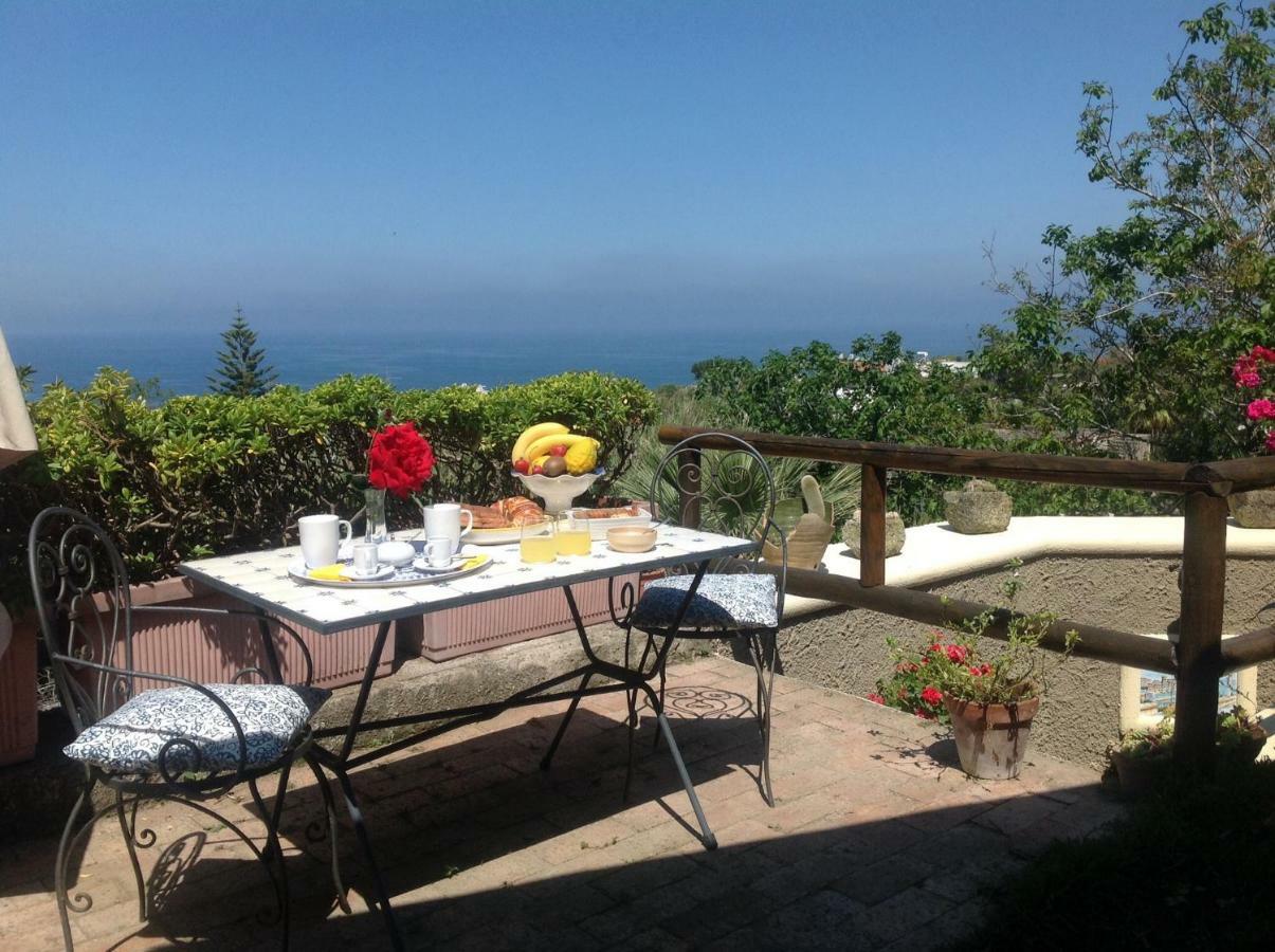 La Terrazzina Sul Tramonto Bed & Breakfast Forio di Ischia Dış mekan fotoğraf