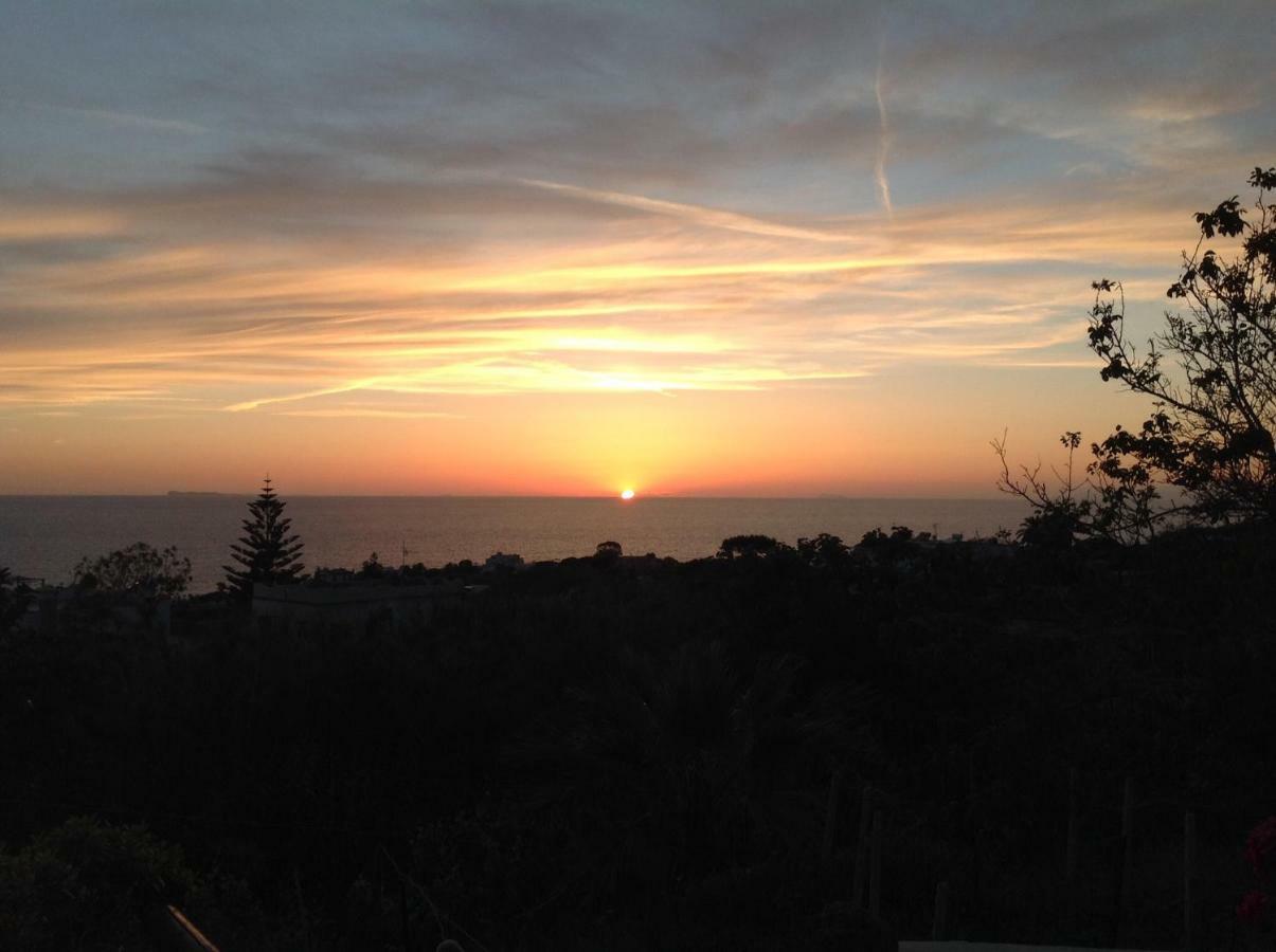 La Terrazzina Sul Tramonto Bed & Breakfast Forio di Ischia Dış mekan fotoğraf