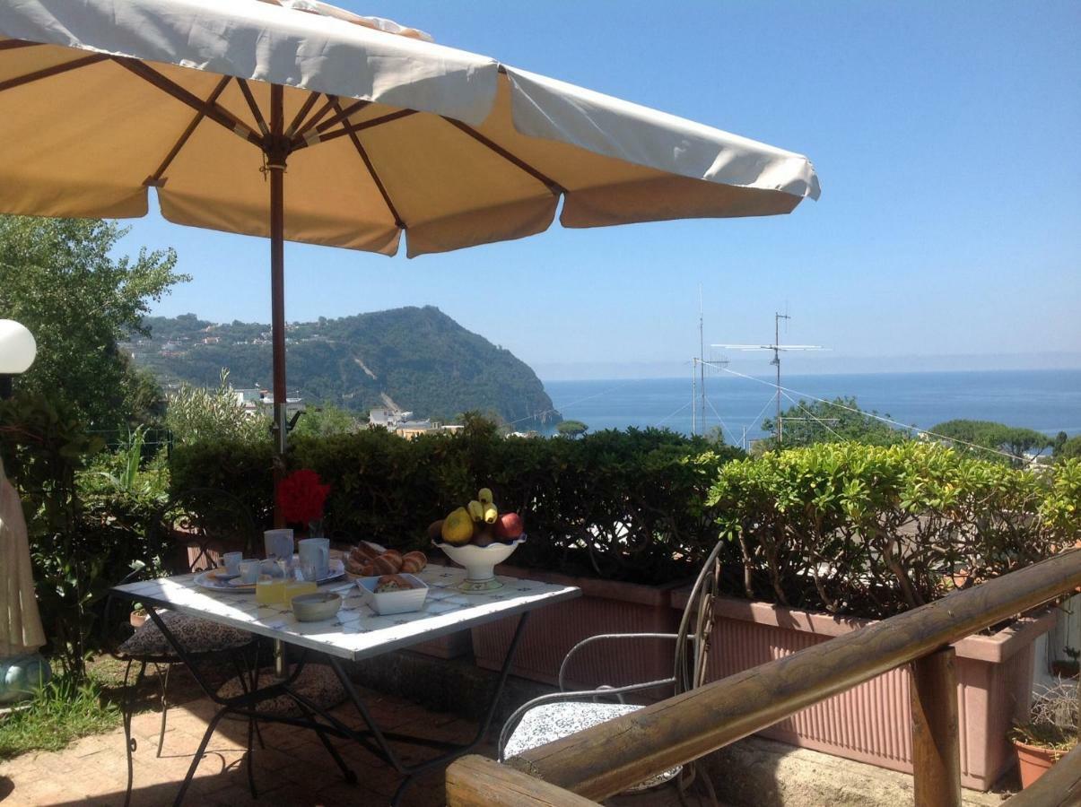 La Terrazzina Sul Tramonto Bed & Breakfast Forio di Ischia Dış mekan fotoğraf