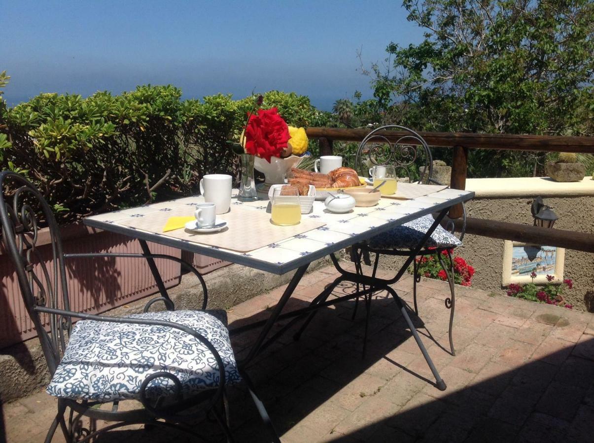 La Terrazzina Sul Tramonto Bed & Breakfast Forio di Ischia Dış mekan fotoğraf