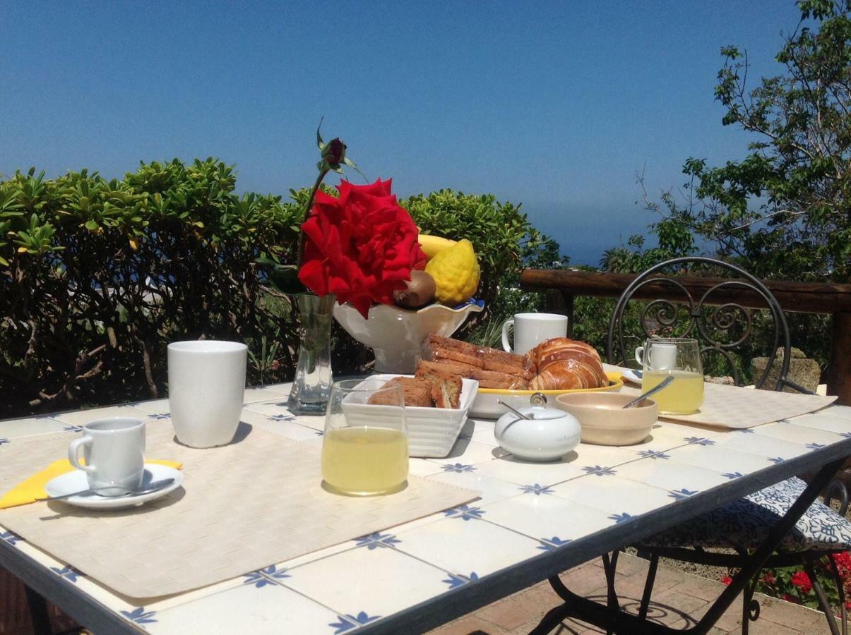 La Terrazzina Sul Tramonto Bed & Breakfast Forio di Ischia Dış mekan fotoğraf