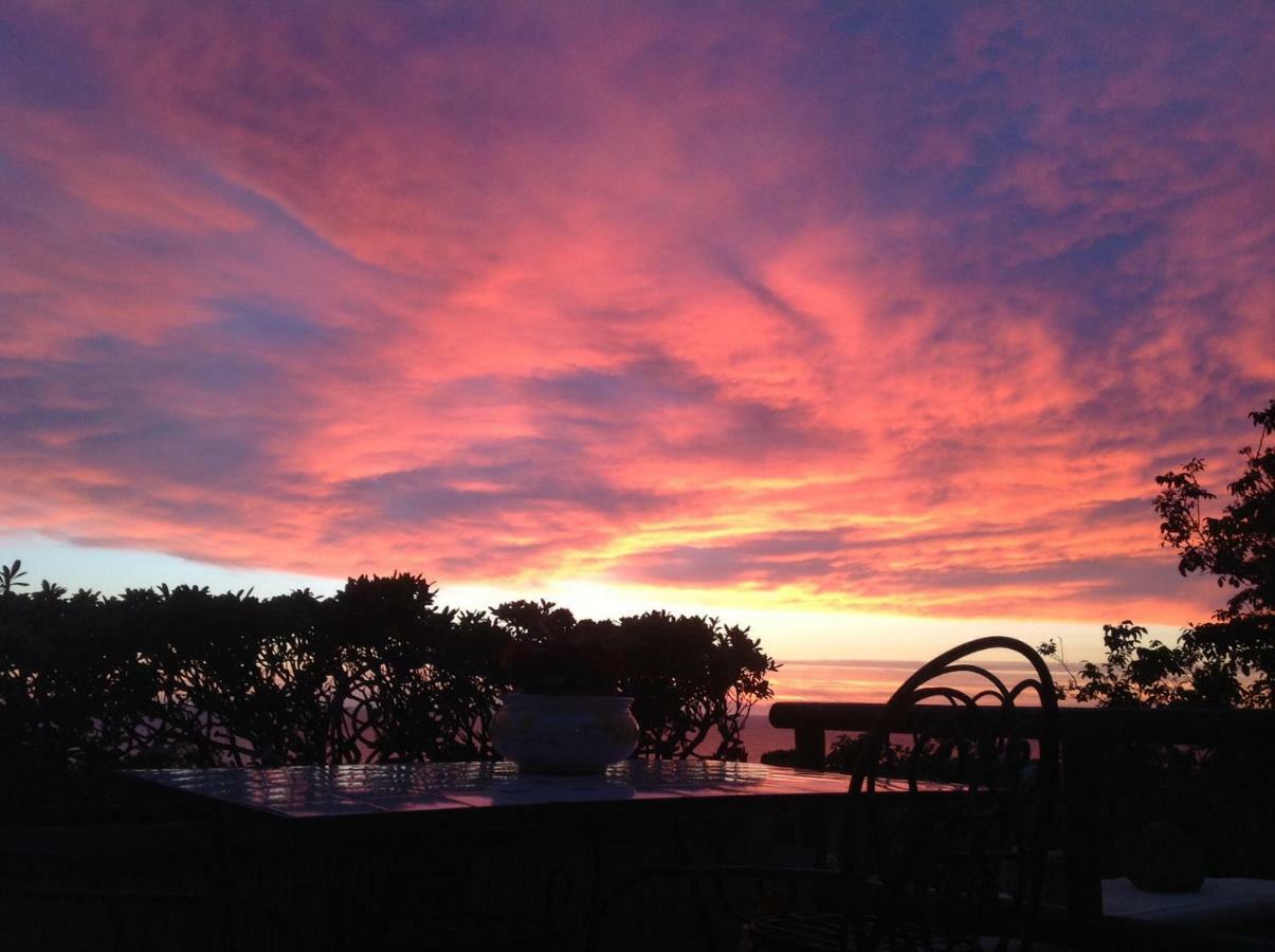 La Terrazzina Sul Tramonto Bed & Breakfast Forio di Ischia Dış mekan fotoğraf